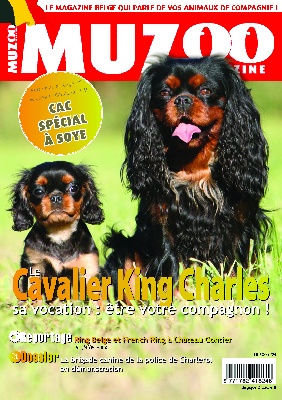 Nos Chiens sont dans le magazine Muzoo